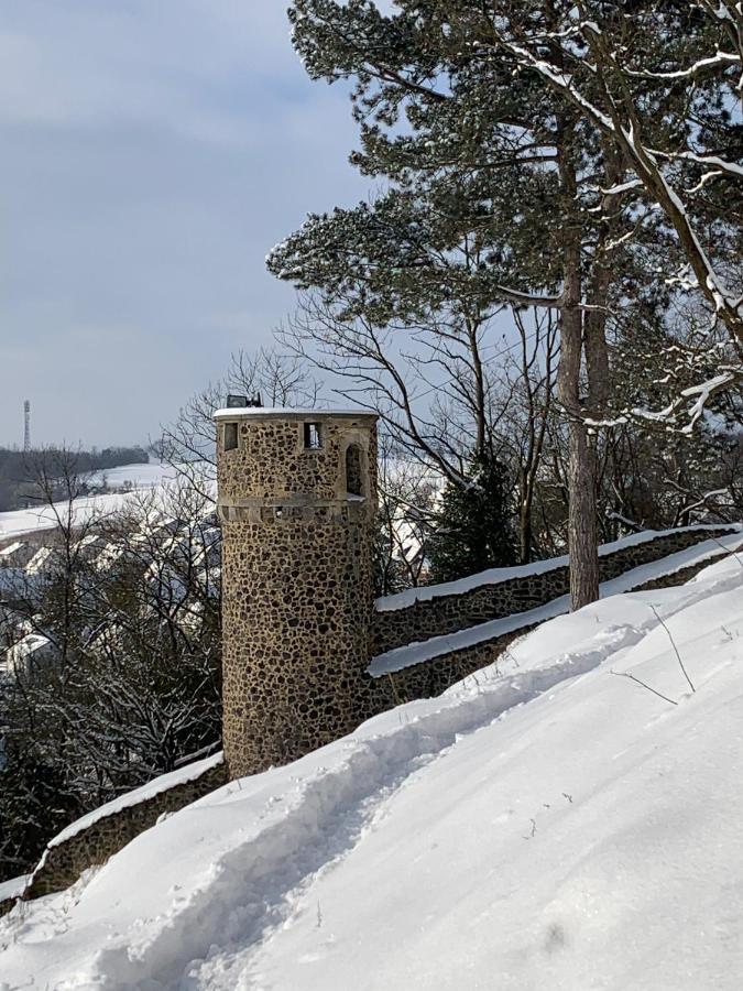 Wohlfuehl Appartments Felsberg Экстерьер фото