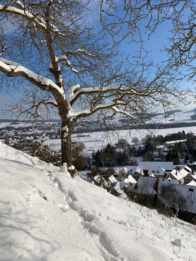 Wohlfuehl Appartments Felsberg Экстерьер фото